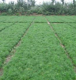 一呼百應公司頻道