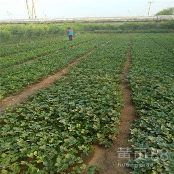 ?？? />
</a>
<span><a href=